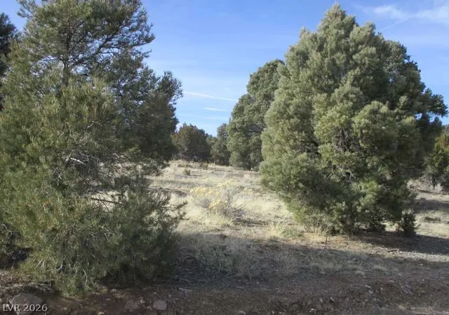 Land for sale at Nv Hwy 322 (13.753 Ac), Pioche, NV 89043 | MLS# 2770327