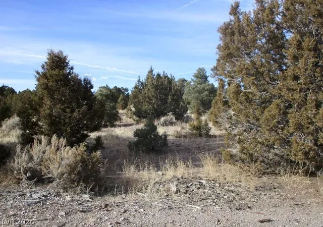 Photo 4 of Land for sale at Nv Hwy 322 (13753 Ac), Pioche, NV 89043 | MLS# 2770327 | Listing updated on 2026-08-26