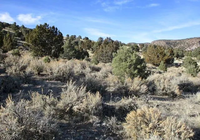 Land for sale at Nv Hwy 322 (10.012 Ac), Pioche, NV 89043 | MLS# 2770328