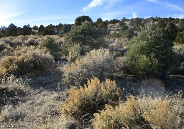 Photo 2 of Land for sale at Nv Hwy 322 (10012 Ac), Pioche, NV 89043 | MLS# 2770328 | Listing updated on 2026-08-26