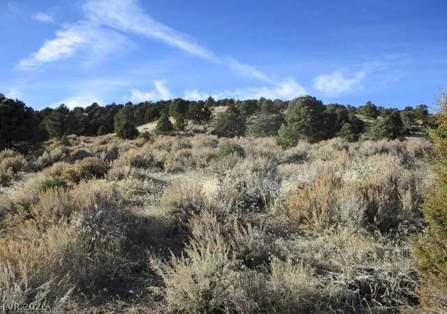 Photo 3 of Land for sale at Nv Hwy 322 (10012 Ac), Pioche, NV 89043 | MLS# 2770328 | Listing updated on 2026-08-26