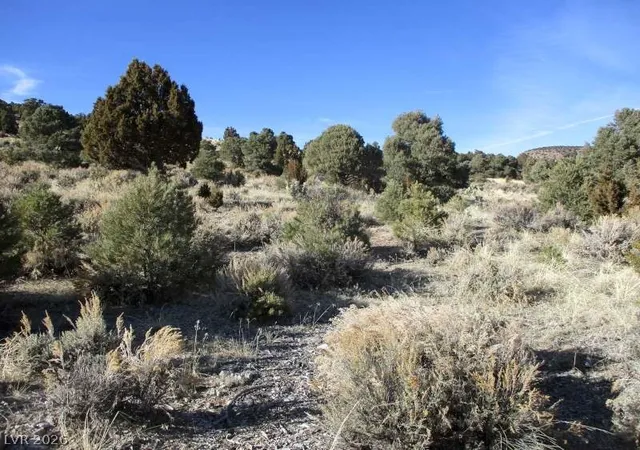 Photo 3 of Land for sale at Nv Hwy 322 (10012 Ac), Pioche, NV 89043 | MLS# 2770328 | Listing updated on 2026-08-26