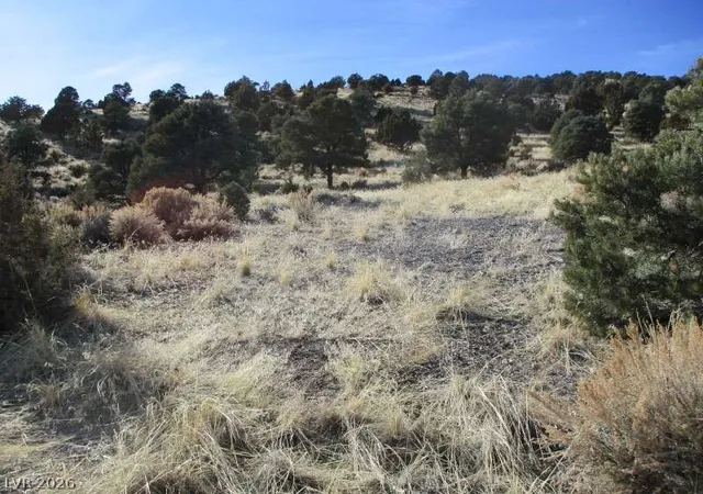 Photo 4 of Land for sale at Nv Hwy 322 (10012 Ac), Pioche, NV 89043 | MLS# 2770328 | Listing updated on 2026-08-26