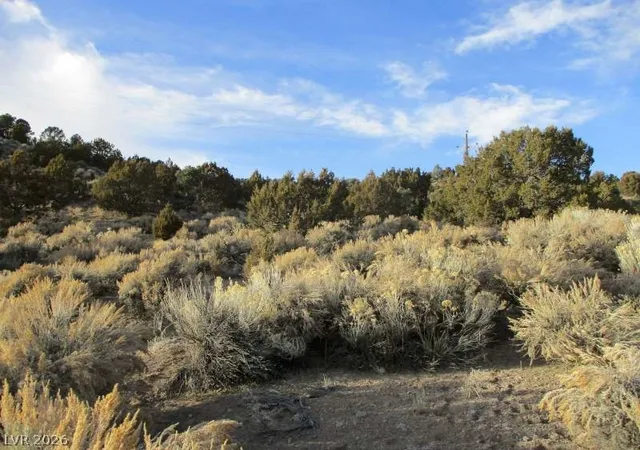 Photo 1 of Land for sale at Nv Hwy 322 (986 Ac), Pioche, NV 89043 | MLS# 2770329 | Listing updated on 2026-08-26