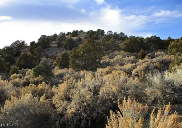 Photo 3 of Land for sale at Nv Hwy 322 (986 Ac), Pioche, NV 89043 | MLS# 2770329 | Listing updated on 2026-08-26