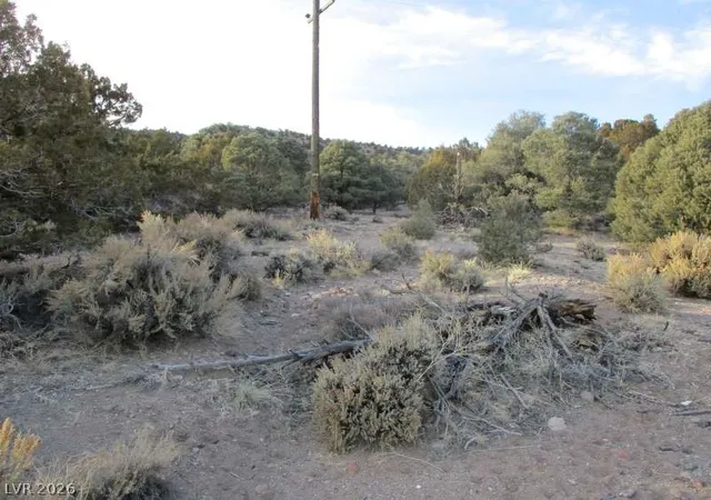 Photo 4 of Land for sale at Nv Hwy 322 (986 Ac), Pioche, NV 89043 | MLS# 2770329 | Listing updated on 2026-08-26