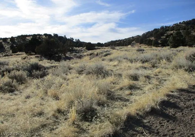 Photo 3 of Land for sale at Nv Hwy 322 (219 Ac), Pioche, NV 89043 | MLS# 2770331 | Listing updated on 2026-08-26