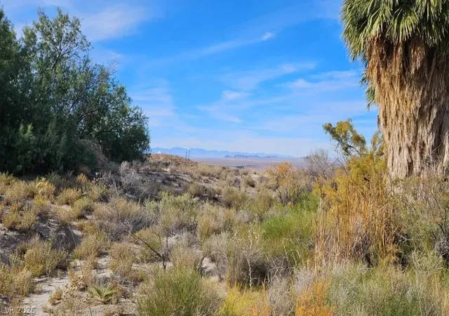 Photo 3 of Land for sale at Gold Butte Rd, Bunkerville, NV 89007 | MLS# 2774749 | Listing updated on 2026-08-03
