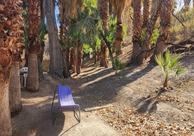 Photo 4 of Land for sale at Gold Butte Rd, Bunkerville, NV 89007 | MLS# 2774749 | Listing updated on 2026-08-03