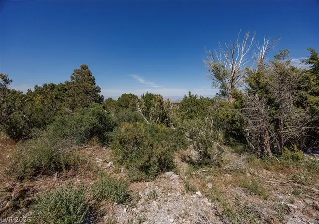 4th image of Sir Turner Dr Apn#095-01-711-034, Las Vegas, NV 89124 | MLS# 2783393