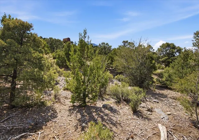 Photo 3 of Land for sale at 155 Oak Trl Cir, Las Vegas, NV 89124 | MLS# 2792450 | Listing updated on 2026-06-19