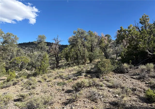 13th image of Off Of Lackawana Road, Ely, NV 89301 | MLS# 2792641