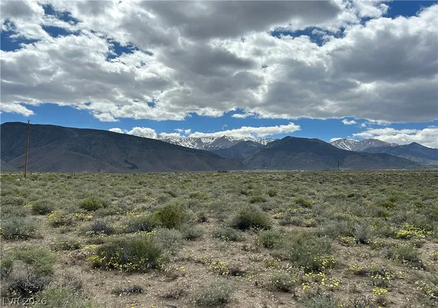 Homes for sale in Dyer, NV | 510 Gillum Ln, Dyer, NV 89010 | MLS# 2792810