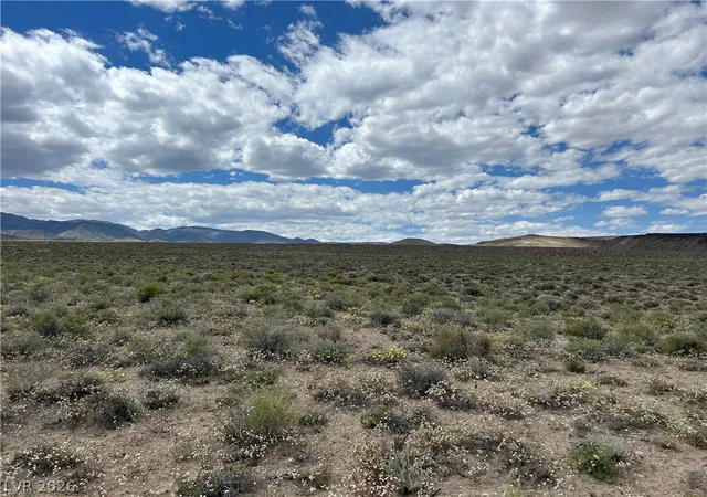 Homes for sale in Dyer, NV | 510 Gillum Ln, Dyer, NV 89010 | MLS# 2792810