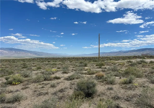 Homes for sale in Dyer, NV | 510 Gillum Ln, Dyer, NV 89010 | MLS# 2792810