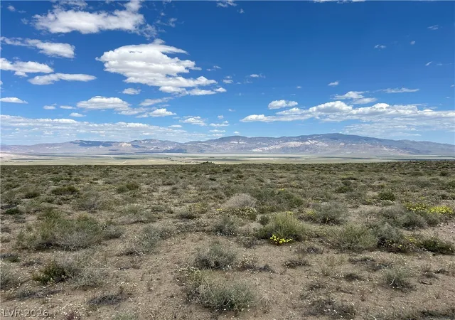 Homes for sale in Dyer, NV | 510 Gillum Ln, Dyer, NV 89010 | MLS# 2792810