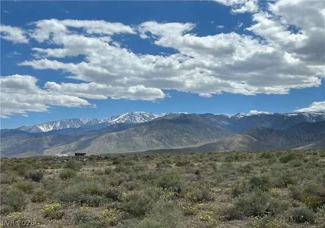 Homes for sale in Dyer, NV | 510 Gillum Ln, Dyer, NV 89010 | MLS# 2792810