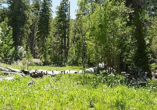 Photo 1 of Land for sale at 0 Deer Crk, Mount Charleston, NV 89124 | MLS# 2800204 | Listing updated on 2026-07-17