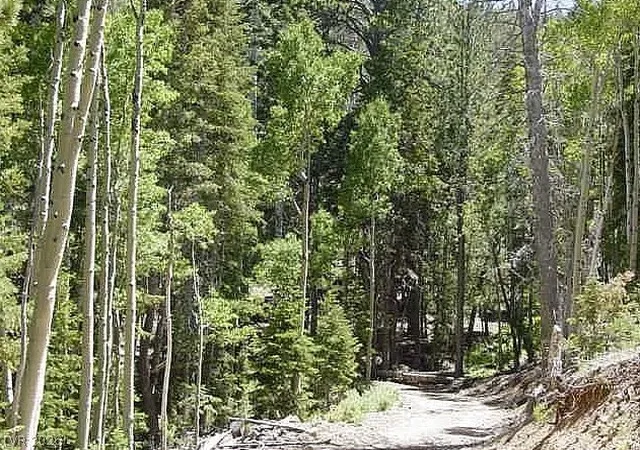 Photo 3 of Land for sale at 0 Deer Crk, Mount Charleston, NV 89124 | MLS# 2800204 | Listing updated on 2026-07-17