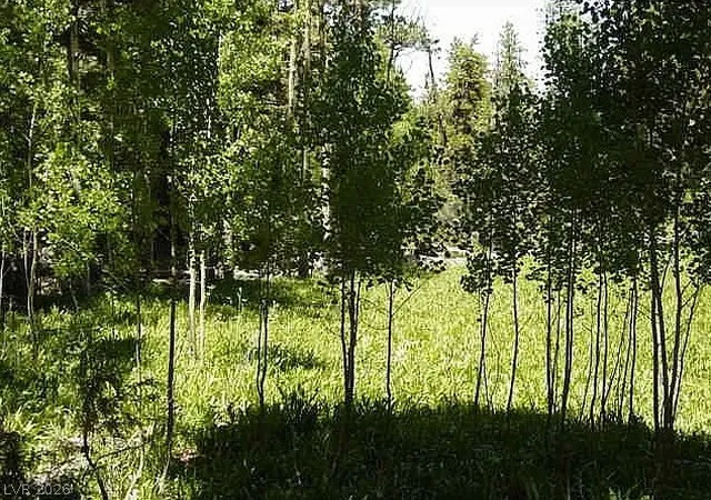 Photo 4 of Land for sale at 0 Deer Crk, Mount Charleston, NV 89124 | MLS# 2800204 | Listing updated on 2026-07-17