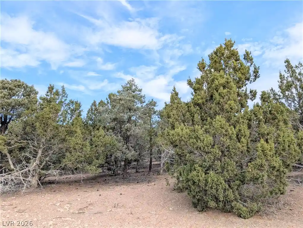 Photo 1 of Land for sale at Lot 1 A Side Hl Pass, Pioche, NV 89043 | MLS# 2822102 | Listing updated on 2026-10-25