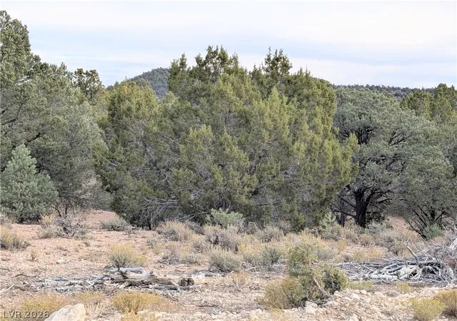 Photo 1 of Land for sale at Lot 1 B Side Hl Pass, Pioche, NV 89043 | MLS# 2822103 | Listing updated on 2026-10-28