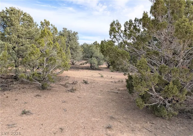 Photo 1 of Land for sale at Lot 1 C Side Hl Pass, Pioche, NV 89043 | MLS# 2822109 | Listing updated on 2026-10-28