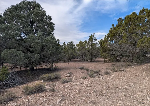 Photo 1 of Land for sale at Lot 1 D Side Hl Pass, Pioche, NV 89043 | MLS# 2822111 | Listing updated on 2026-10-28