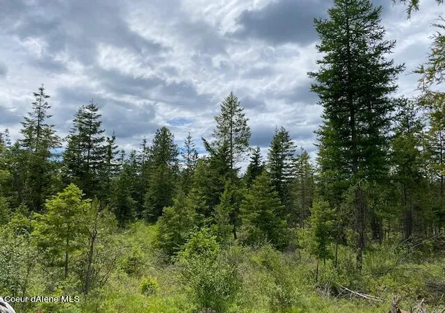 20th image of Lt 3 Blk 4 E Amulet Cir, Rathdrum, ID 83858 | MLS# 22-10122