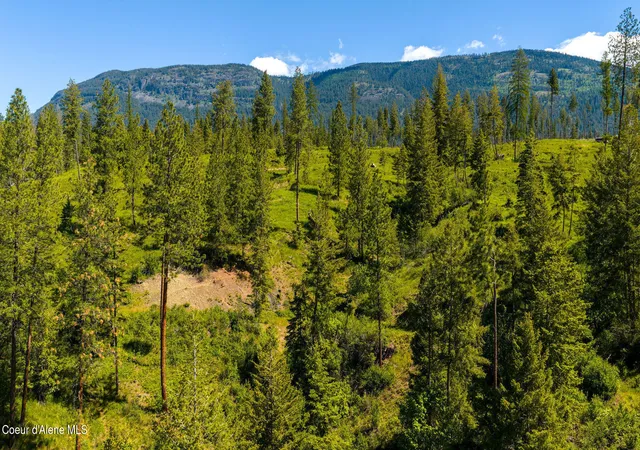 Photo 3 of Land for sale at Nna This Way Rd Lot 3 (20 Acres), Bonners Ferry, ID 83805 | MLS# 26-5318 | Listing updated on 2026-08-28