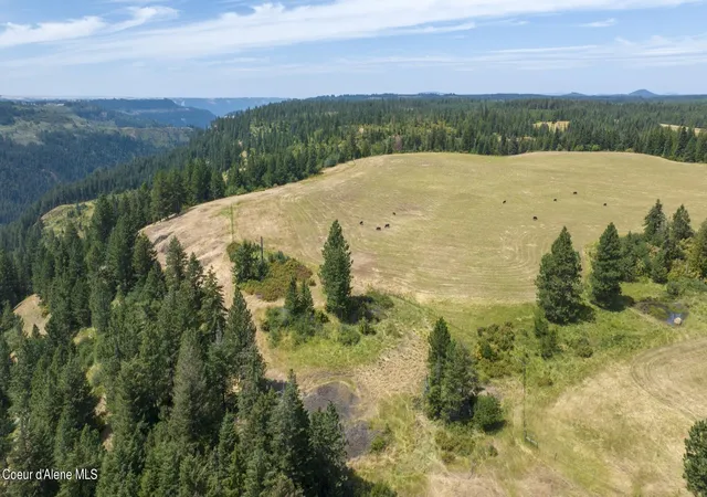 Homes for sale in Weippe, ID | 1605 Jasmine Ln, Parcels 14 & 15, Weippe, ID 83553 | MLS# 24-8932