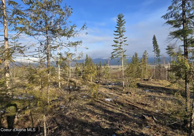 3rd image of Nna West Side Rd Parcel 3, Bonners Ferry, ID 83805 | MLS# 24-11240