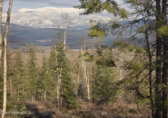 4th image of Nna West Side Rd Parcel 3, Bonners Ferry, ID 83805 | MLS# 24-11240