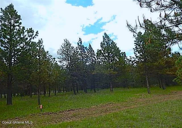 Photo 4 of Land for sale at Nka Highway 95, Athol, ID 83801 | MLS# 25-2486 | Listing updated on 2026-05-07