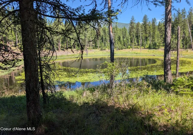 1st image of 53396 Hwy 95, Bonners Ferry, ID 83805 | MLS# 25-1668