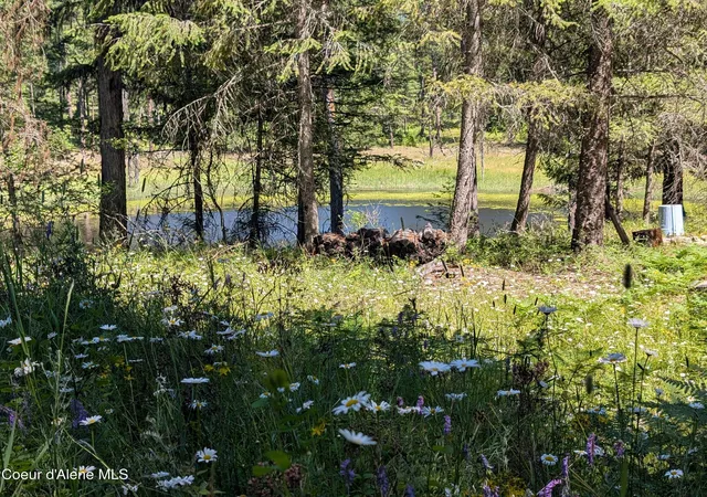 Photo 4 of Land for sale at 53396 Highway 95, Bonners Ferry, ID 83805 | MLS# 25-1668 | Listing updated on 2026-08-29