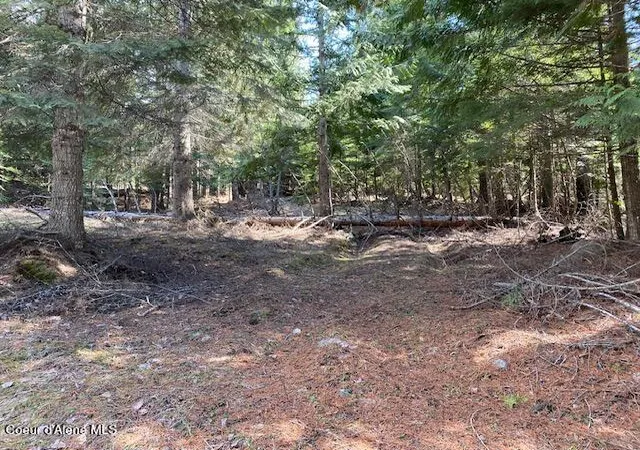 Homes for sale in Sandpoint, ID | Nna Upper Gold Crk Rd, Sandpoint, ID 83864 | MLS# 25-4559