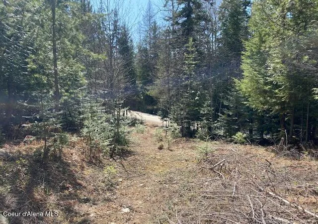 Homes for sale in Sandpoint, ID | Nna Upper Gold Crk Rd, Sandpoint, ID 83864 | MLS# 25-4559