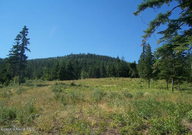 5th image of Nna Mellick Rd, Post Falls, ID 83854 | MLS# 25-8954