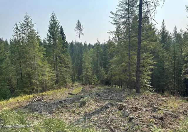 5th image of Nna Peninsula Loop Rd, Priest River, ID 83856 | MLS# 25-9125