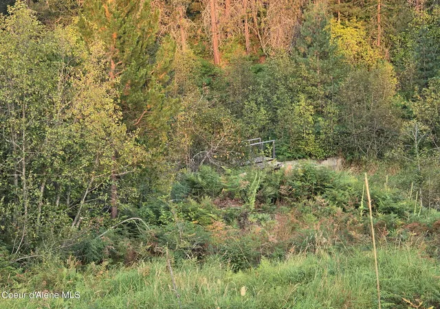 12th image of 461 Bear Rd, Priest River, ID 83856 | MLS# 25-9566