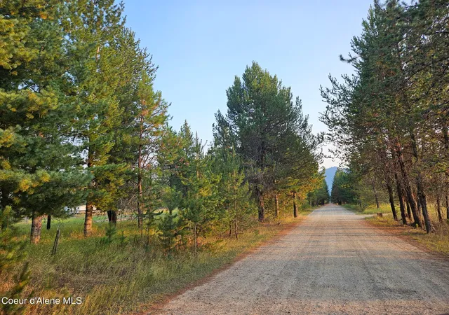 1st image of 461 Bear Rd, Priest River, ID 83856 | MLS# 25-9566