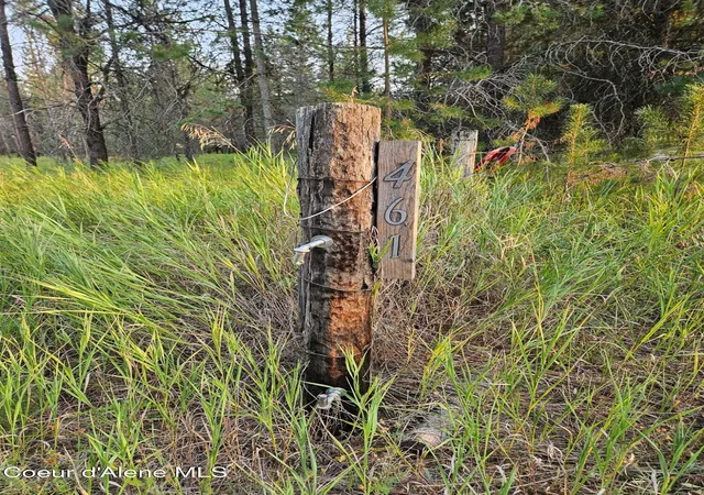 2nd image of 461 Bear Rd, Priest River, ID 83856 | MLS# 25-9566