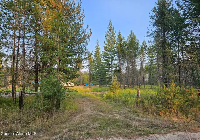 5th image of 461 Bear Rd, Priest River, ID 83856 | MLS# 25-9566