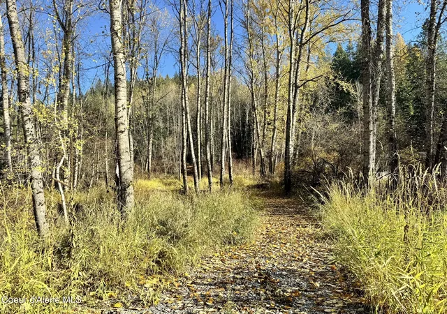 Homes for sale in Kingston, ID | 3091acs French Gulch Rd, Kingston, ID 83839 | MLS# 25-10436