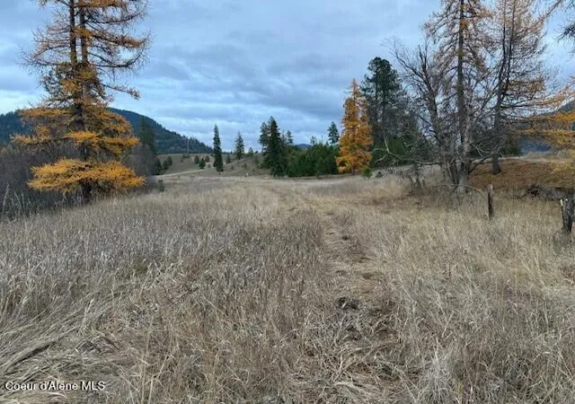 3rd image of Nna (8550) Eastside Rd, Priest River, ID 83856 | MLS# 25-11234