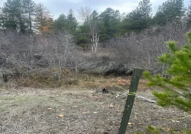 4th image of Nna (8550) Eastside Rd, Priest River, ID 83856 | MLS# 25-11234