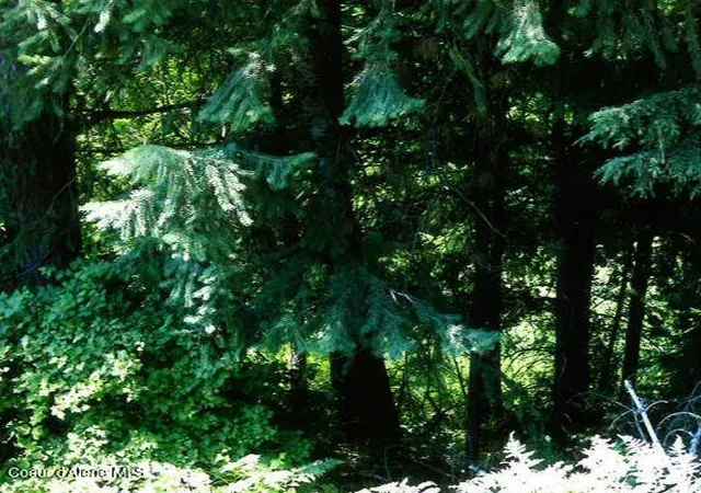 3rd image of Nka Tamarack Ridge Rd 135 Acres, Cataldo, ID 83810 | MLS# 25-11585