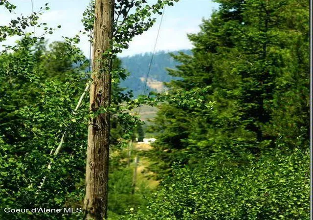 4th image of Nka Tamarack Ridge Rd 135 Acres, Cataldo, ID 83810 | MLS# 25-11585
