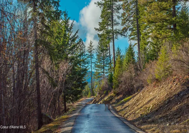 5th image of Nna 2083Acs Destiny Ln, Sandpoint, ID 83864 | MLS# 25-11563